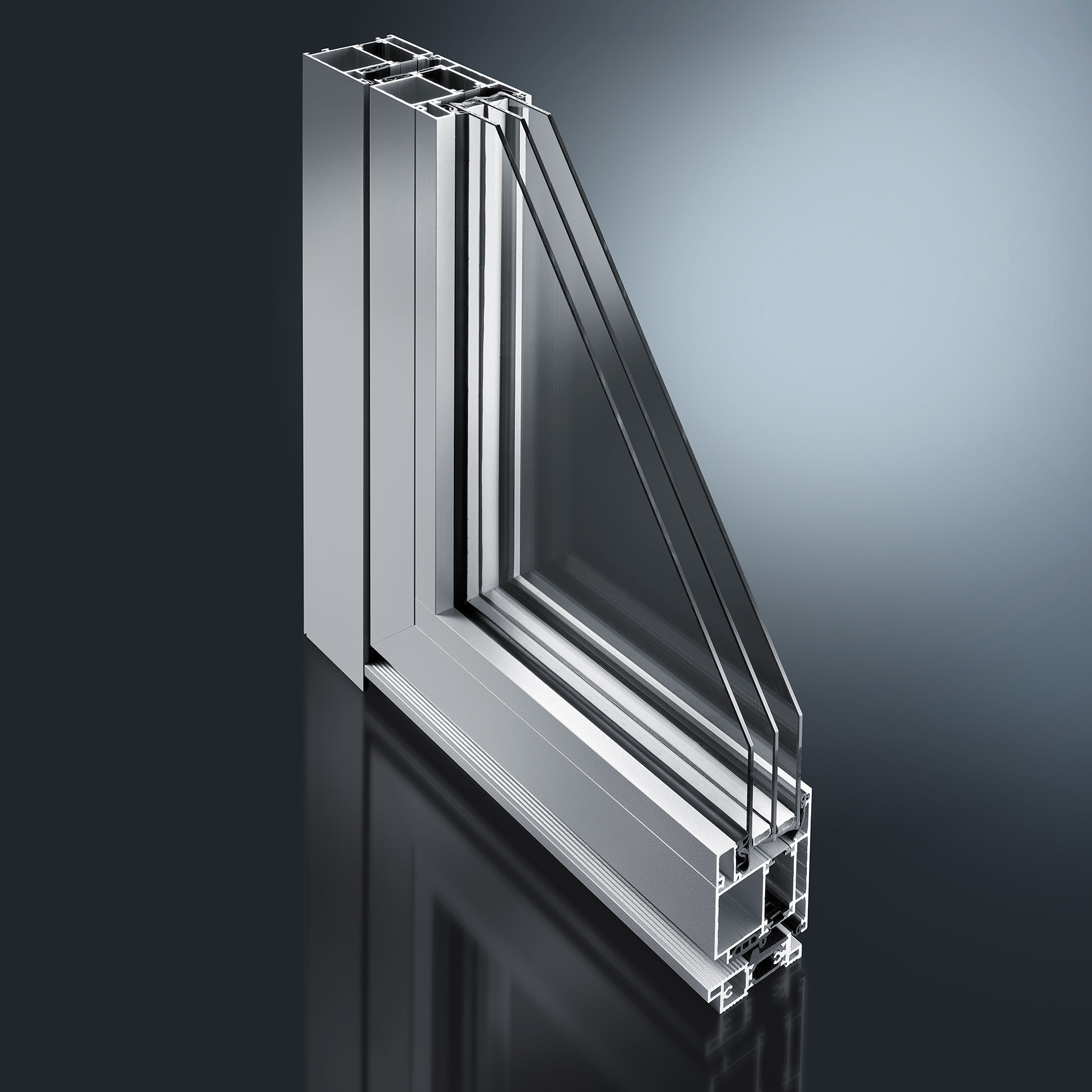 Profielsystemen voor voordeuren en deuren - we bieden aluminium buitenschalen voor houten deuren en moderne standaard aluminium modellen en profielsystemen voor scheidings- en wandelementen, ook voor binnentoepassingen.